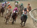 Afleet Alex