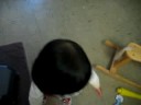 20080904michelle－宝贝忙不停 2
