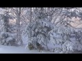 YouTubeサムネイル[WRwdaB6akWo] - 3枚目
