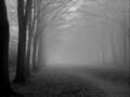 Freezing Fog