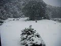 Snow at John Tait Hut Nelson Lakes National Park, NZ