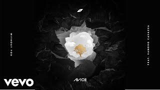 Avicii - Without You (Ft Sandro Cavazza) video