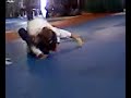 this is jake in a fight for the brazilian jiu-jitsu tournament here in costa mesa ca. enjoy