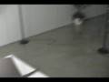 Oliver Irwin MFA Exhibition CGU