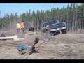 Muskeg Madness