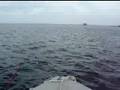 videos de Lake Nippissing Fishing Trip