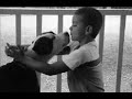 kampfhund t�ted kind