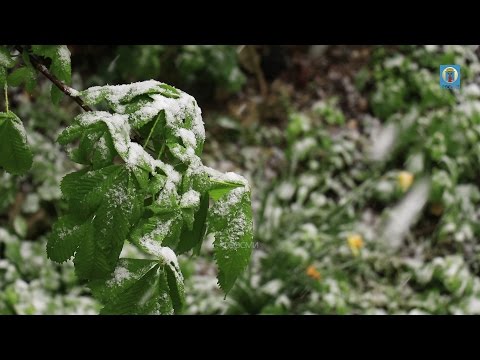 Фото новости - 23.04.2017 Крым, Феодосия — Нынче нас не балует погода