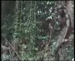 Uganda Music Mama Iyo by DogMan Bukura Amin
