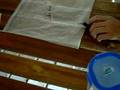 videos de Bug Fight