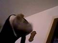 videos de Re: A cursed chair by raool