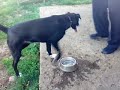 Asia and Rocky Play