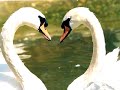 here is a famous song (known in english as 