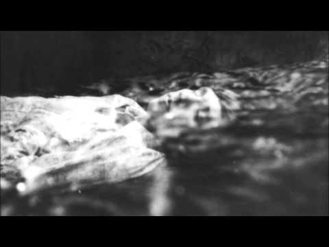Sizzlebird - Falling Into Daydream Sizzlebird - Falling Into Daydream