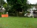 ?????????4??Malaysia?cemetery4