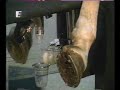 Horse-Semen-Collecto