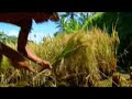 Click here to watch this video ASEAN World Economic Forum 2008 Video