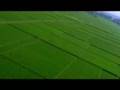 ASEAN World Economic Forum 2008 Video