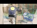 youtube2