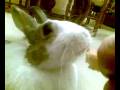 videos de 13112008.mp4
