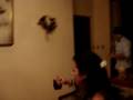 videos de VINO TINTO CASA DE NAT.