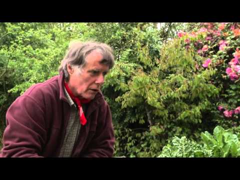 Patrick Whitefield on the art of watering seedlings and slug prevention
