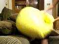 Mel beating me up with a bean bag, Part 2