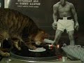 My CAT