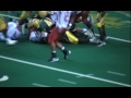 Bison Game Day