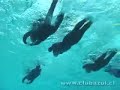 Clinica de Natación