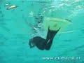 Clinica de Natación Clinica de Natación