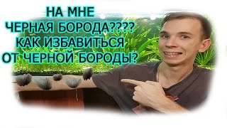 Черная борода в аквариуме  Как избавиться от черной бороды  Аквариумные растения без черной бороды
