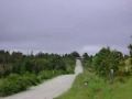 Rally avosur pto montt
