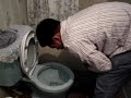 hongos vomit