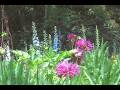 videos de Flowers