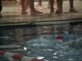 videos de 100yd Breaststroke