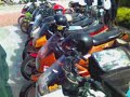 jerung darat mengganas