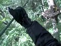 Eazytv Vio Pov Sigulda adventure park Balck Course