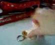 Germin