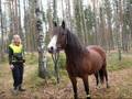 videos de Love You Lillstjärnan