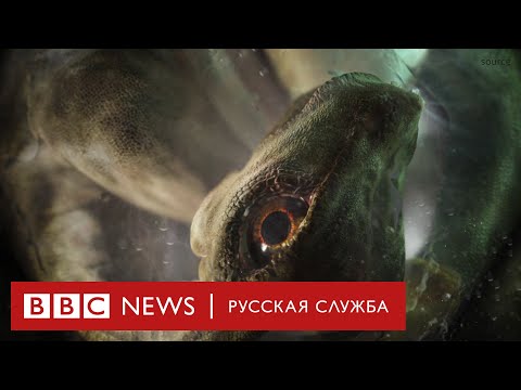 Аттенборо и самый большой динозавр на Земле