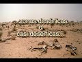Sequ�a y Desertizaci�n