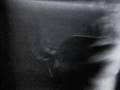 Laibach RAW - Krvava gruda plodna zemlja
