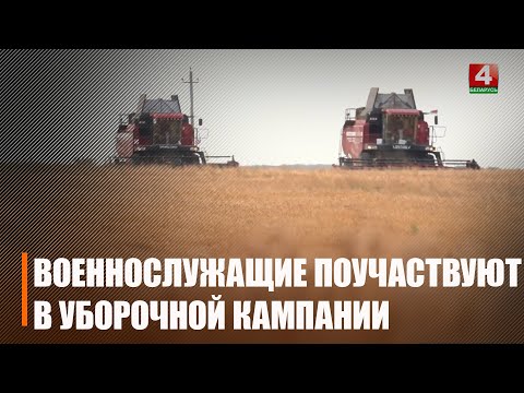 Военнослужащие Вооруженных сил Беларуси помогут аграриям в уборочной кампании на Гомельщине видео