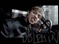 Dolphin-Dealer