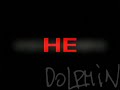 Dolphin-Dealer