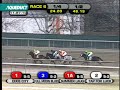 Dixie City - The Demoiselle (G2) 