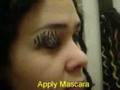 Zebra Print Eyes