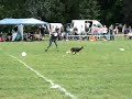 Sabine Bruns - DiscDog Freestyle Stromovka 29.07.07