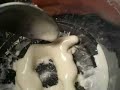 Non-Newtonian Fluid 2